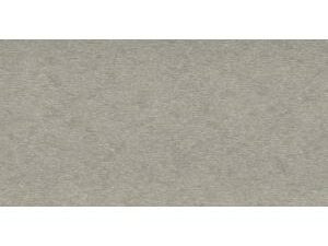 Light Gray poly color
