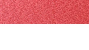 Rectangle Fire Pit Colors Scarlet Red on White Tropical on White